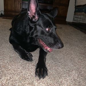 Meet your Posher, Cody